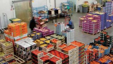Maroc : la hausse des carburants relance la flambée des prix des fruits et légumes Export des fruits et legumes 390x220 - Maroc : la hausse des carburants relance la flambée des prix des fruits et légumes