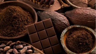Chocolat : un plaisir mondial… mais des écarts de consommation très marqués chocolat noir banniere 390x220 - Chocolat : un plaisir mondial… mais des écarts de consommation très marqués