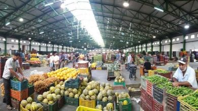 Casablanca : les prix des tomates reculent tandis que la viande ovine augmente MARCHE DE GROS CASA 390x220 - Casablanca : les prix des tomates reculent tandis que la viande ovine augmente