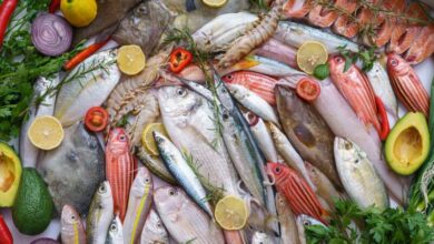 Poisson et de fruits de mer : sensibilisation des consommateurs UE aux recommandations alimentaires sur le mercure poisson fruits de mer 390x220 - Poisson et de fruits de mer : sensibilisation des consommateurs UE aux recommandations alimentaires sur le mercure