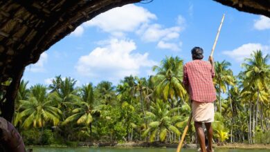 Tendances du voyage 2026 : Minor Hotels mise sur l’authenticité et la quête de sens voyage immersif 390x220 - Tendances du voyage 2026 : Minor Hotels mise sur l’authenticité et la quête de sens