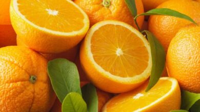 Agrumes : une cargaison marocaine refoulée à Saint-Pétersbourg pour contamination orange 390x220 - Agrumes : une cargaison marocaine refoulée à Saint-Pétersbourg pour contamination