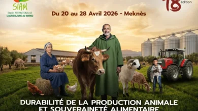 Le 18e SIAM du 20 au 28 avril à Meknès sous le signe de la durabilité de la production animale et de la souveraineté alimentaire siam 2026 390x220 - Le 18e SIAM du 20 au 28 avril à Meknès sous le signe de la durabilité de la production animale et de la souveraineté alimentaire